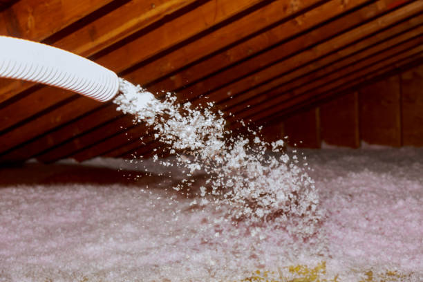 Best Cellulose Insulation  in Winton, CA